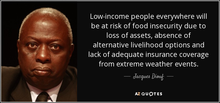 Low-income people everywhere will be at risk of food insecurity due to loss of assets, absence of alternative livelihood options and lack of adequate insurance coverage from extreme weather events. - Jacques Diouf