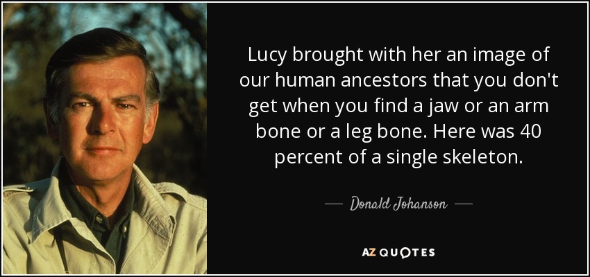 Lucy brought with her an image of our human ancestors that you don't get when you find a jaw or an arm bone or a leg bone. Here was 40 percent of a single skeleton. - Donald Johanson