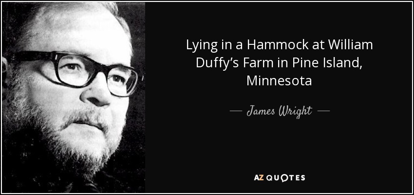 Lying in a Hammock at William Duffy’s Farm in Pine Island, Minnesota - James Wright