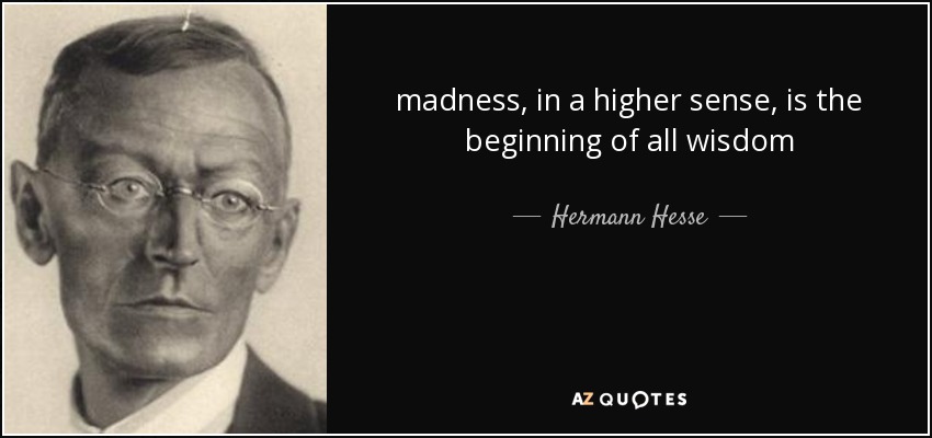 madness, in a higher sense, is the beginning of all wisdom - Hermann Hesse