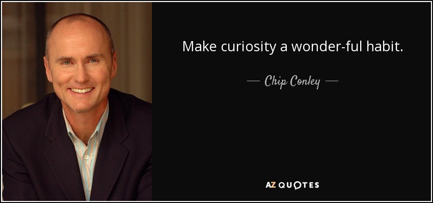Make curiosity a wonder-ful habit. - Chip Conley