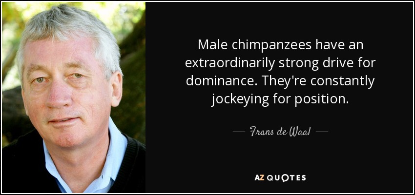 Male chimpanzees have an extraordinarily strong drive for dominance. They're constantly jockeying for position. - Frans de Waal