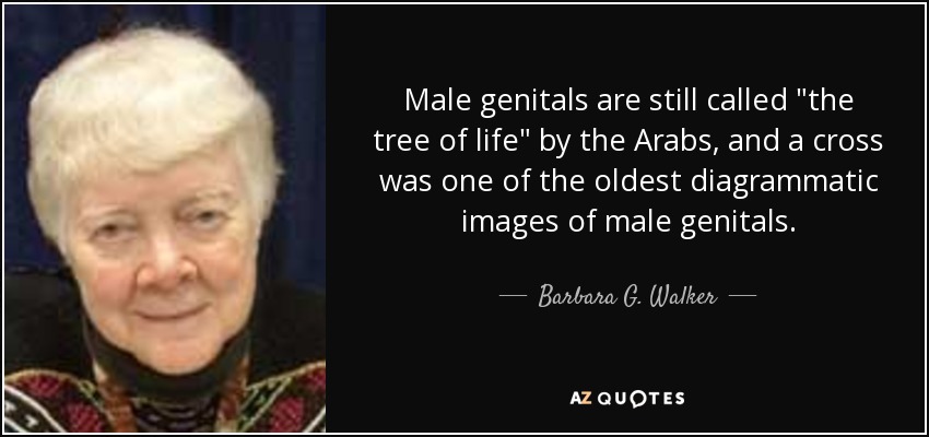 Male genitals are still called 