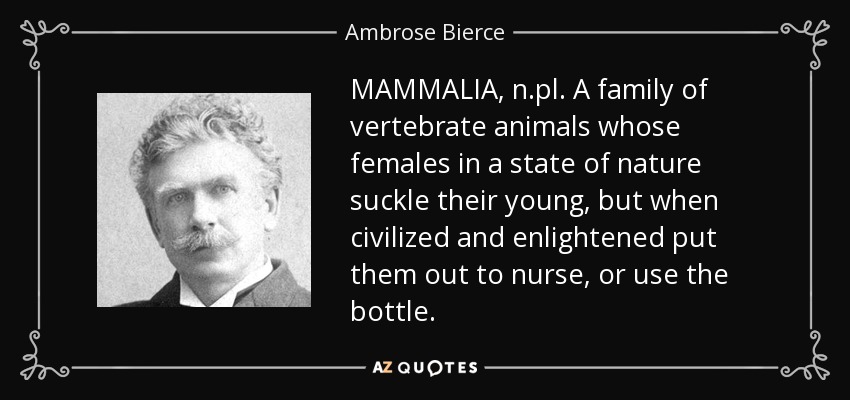 MAMMALIA, n.pl. A family of vertebrate animals whose females in a state of nature suckle their young, but when civilized and enlightened put them out to nurse, or use the bottle. - Ambrose Bierce