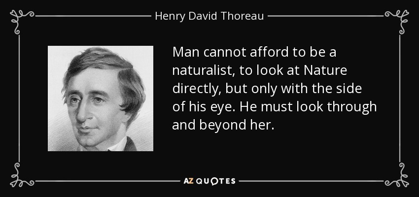 Man cannot afford to be a naturalist, to look at Nature directly, but only with the side of his eye. He must look through and beyond her. - Henry David Thoreau