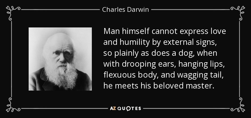 Man himself cannot express love and humility by external signs, so plainly as does a dog, when with drooping ears, hanging lips, flexuous body, and wagging tail, he meets his beloved master. - Charles Darwin
