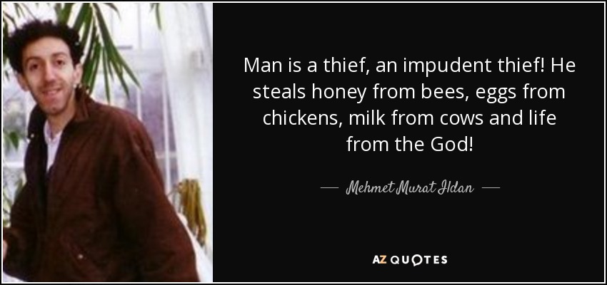 Man is a thief, an impudent thief! He steals honey from bees, eggs from chickens, milk from cows and life from the God! - Mehmet Murat Ildan
