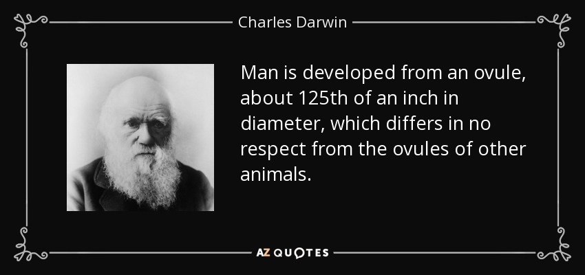 Man is developed from an ovule, about 125th of an inch in diameter, which differs in no respect from the ovules of other animals. - Charles Darwin