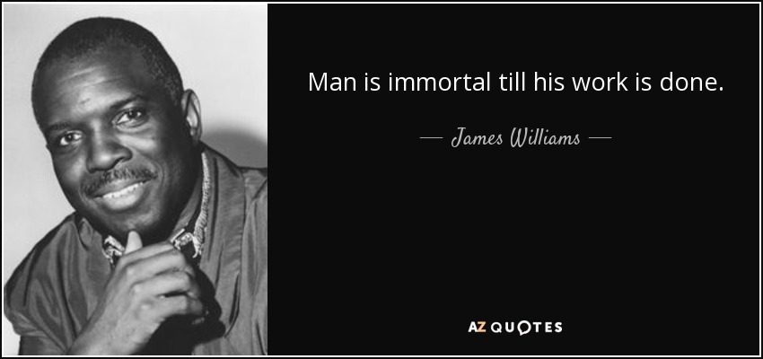 Man is immortal till his work is done. - James Williams