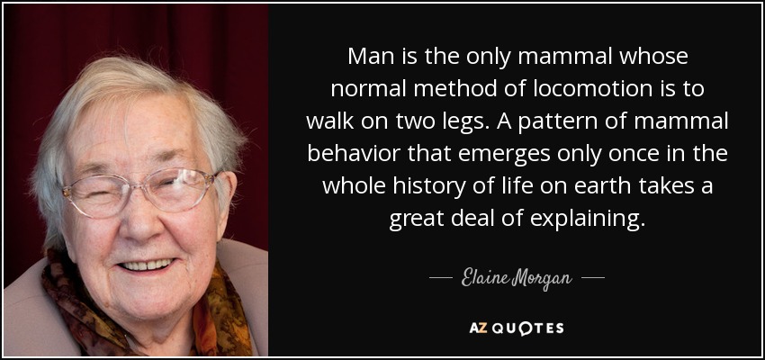 Man is the only mammal whose normal method of locomotion is to walk on two legs. A pattern of mammal behavior that emerges only once in the whole history of life on earth takes a great deal of explaining. - Elaine Morgan