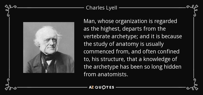 Man, whose organization is regarded as the highest, departs from the vertebrate archetype; and it is because the study of anatomy is usually commenced from, and often confined to, his structure, that a knowledge of the archetype has been so long hidden from anatomists. - Charles Lyell