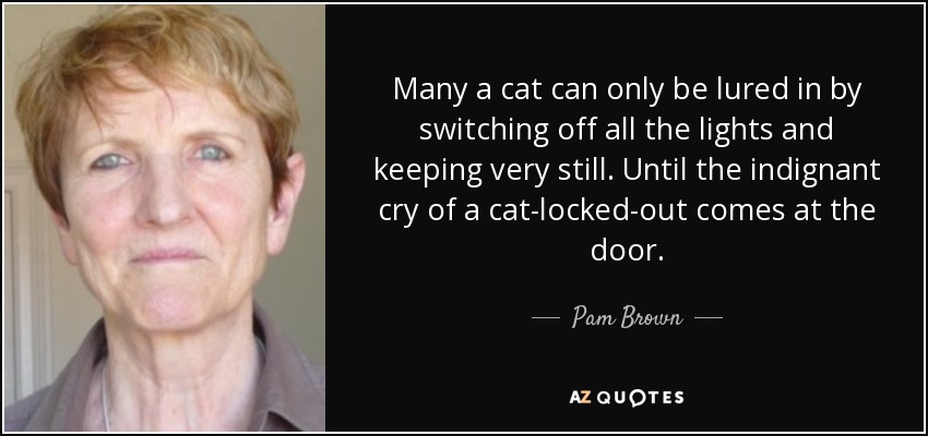 Many a cat can only be lured in by switching off all the lights and keeping very still. Until the indignant cry of a cat-locked-out comes at the door. - Pam Brown