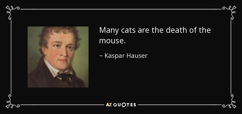 Many cats are the death of the mouse. - Kaspar Hauser