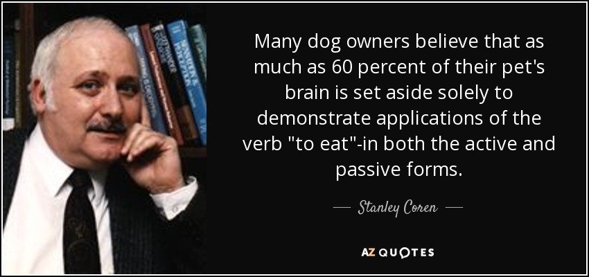 Many dog owners believe that as much as 60 percent of their pet's brain is set aside solely to demonstrate applications of the verb 