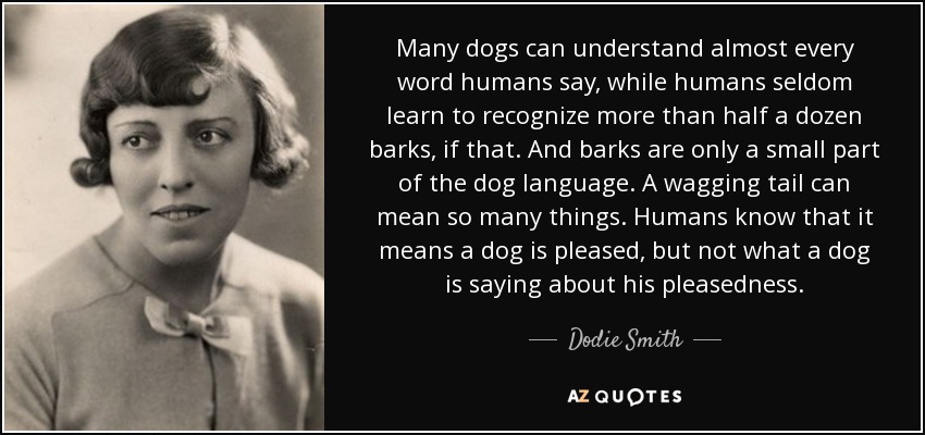 Many dogs can understand almost every word humans say, while humans seldom learn to recognize more than half a dozen barks, if that. And barks are only a small part of the dog language. A wagging tail can mean so many things. Humans know that it means a dog is pleased, but not what a dog is saying about his pleasedness. - Dodie Smith