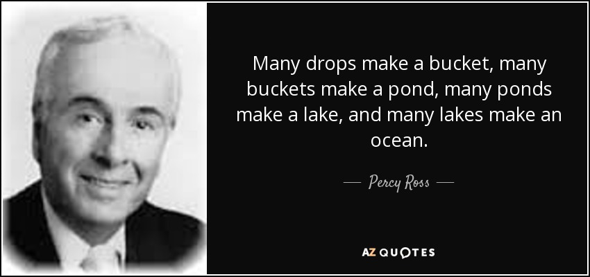 Many drops make a bucket, many buckets make a pond, many ponds make a lake, and many lakes make an ocean. - Percy Ross