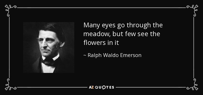 Many eyes go through the meadow, but few see the flowers in it - Ralph Waldo Emerson