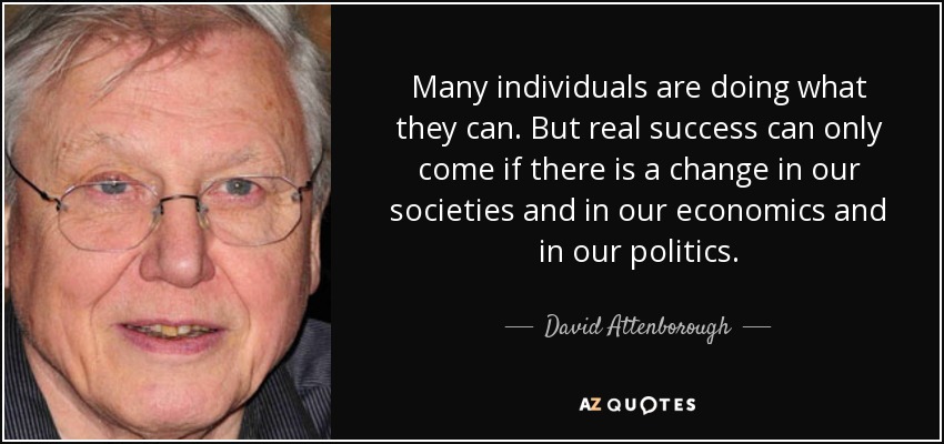 Many individuals are doing what they can. But real success can only come if there is a change in our societies and in our economics and in our politics. - David Attenborough