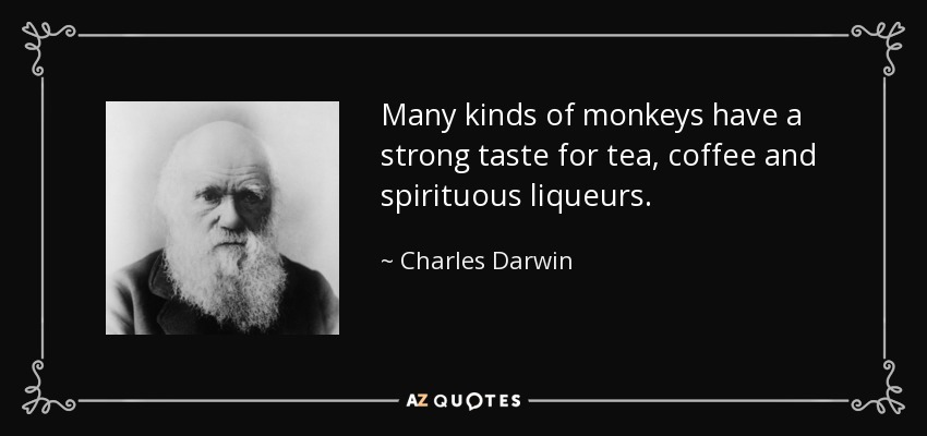 Many kinds of monkeys have a strong taste for tea, coffee and spirituous liqueurs. - Charles Darwin