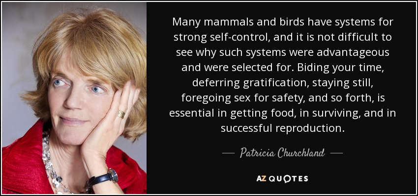 Many mammals and birds have systems for strong self-control, and it is not difficult to see why such systems were advantageous and were selected for. Biding your time, deferring gratification, staying still, foregoing sex for safety, and so forth, is essential in getting food, in surviving, and in successful reproduction. - Patricia Churchland