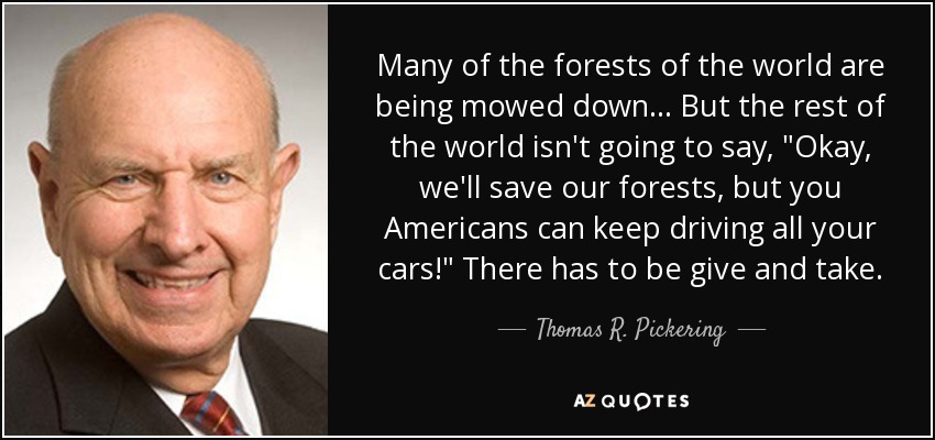 Many of the forests of the world are being mowed down... But the rest of the world isn't going to say, 