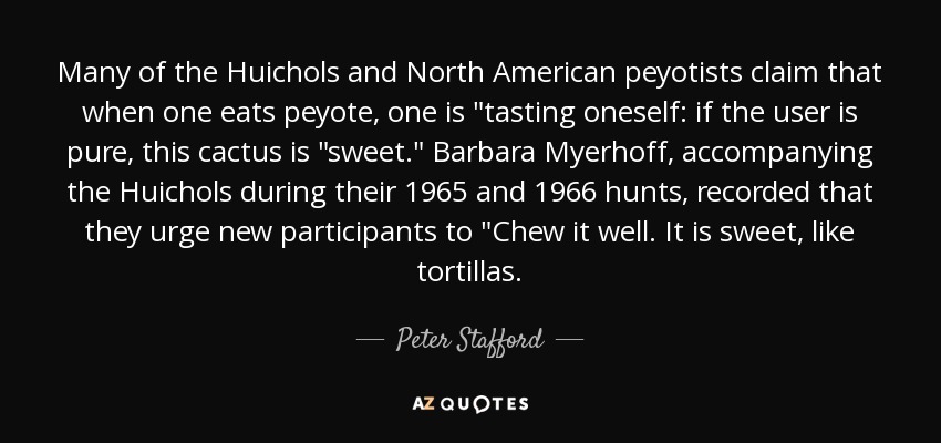 Many of the Huichols and North American peyotists claim that when one eats peyote, one is 