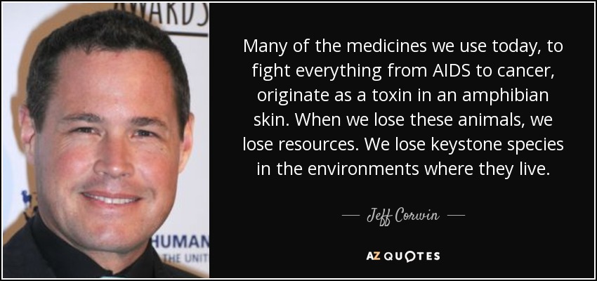 Many of the medicines we use today, to fight everything from AIDS to cancer, originate as a toxin in an amphibian skin. When we lose these animals, we lose resources. We lose keystone species in the environments where they live. - Jeff Corwin