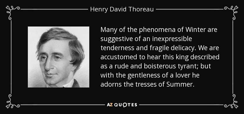 Many of the phenomena of Winter are suggestive of an inexpressible tenderness and fragile delicacy. We are accustomed to hear this king described as a rude and boisterous tyrant; but with the gentleness of a lover he adorns the tresses of Summer. - Henry David Thoreau