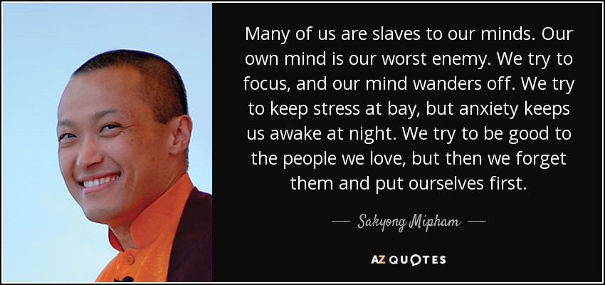 Many of us are slaves to our minds. Our own mind is our worst enemy. We try to focus, and our mind wanders off. We try to keep stress at bay, but anxiety keeps us awake at night. We try to be good to the people we love, but then we forget them and put ourselves first. - Sakyong Mipham