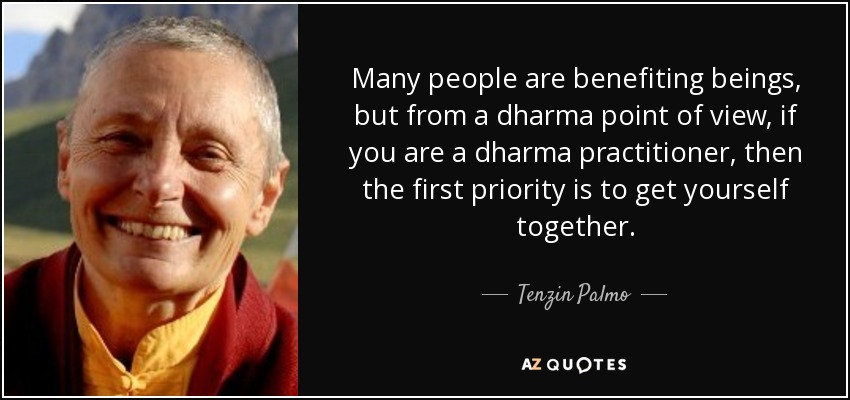 Many people are benefiting beings, but from a dharma point of view, if you are a dharma practitioner, then the first priority is to get yourself together. - Tenzin Palmo
