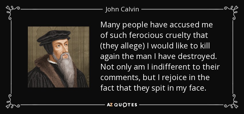 Many people have accused me of such ferocious cruelty that (they allege) I would like to kill again the man I have destroyed. Not only am I indifferent to their comments, but I rejoice in the fact that they spit in my face. - John Calvin