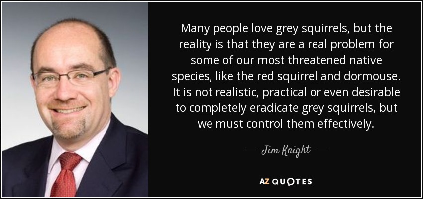 Many people love grey squirrels, but the reality is that they are a real problem for some of our most threatened native species, like the red squirrel and dormouse. It is not realistic, practical or even desirable to completely eradicate grey squirrels, but we must control them effectively. - Jim Knight
