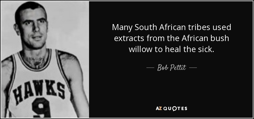 Many South African tribes used extracts from the African bush willow to heal the sick. - Bob Pettit