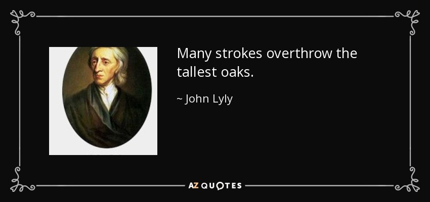 Many strokes overthrow the tallest oaks. - John Lyly