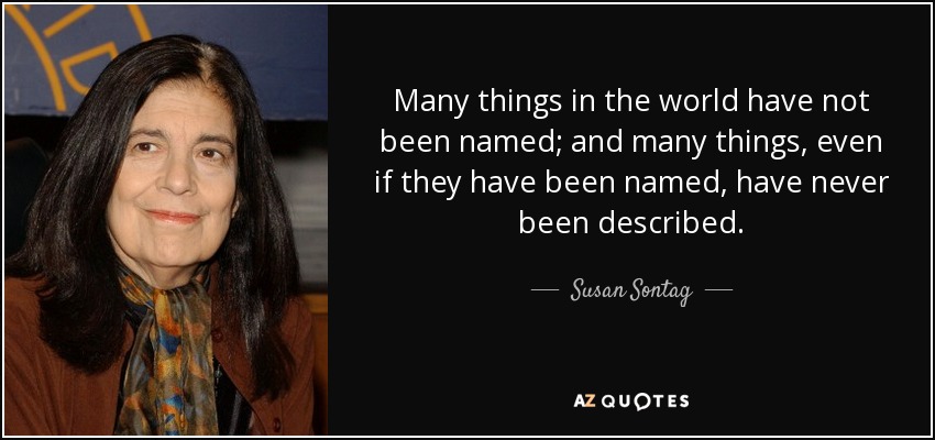 Many things in the world have not been named; and many things, even if they have been named, have never been described. - Susan Sontag