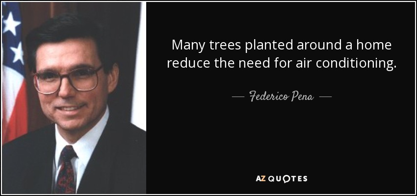Many trees planted around a home reduce the need for air conditioning. - Federico Pena