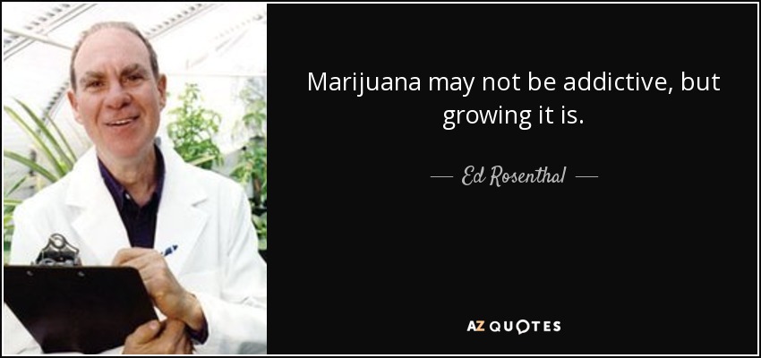 Marijuana may not be addictive, but growing it is. - Ed Rosenthal