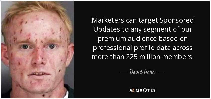 Marketers can target Sponsored Updates to any segment of our premium audience based on professional profile data across more than 225 million members. - David Hahn