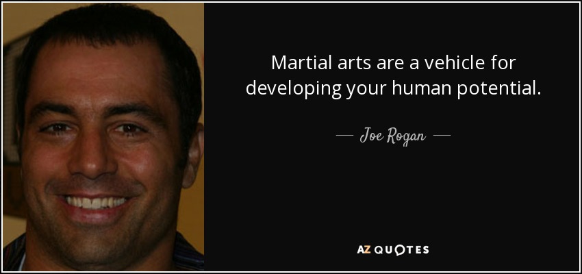 Martial arts are a vehicle for developing your human potential. - Joe Rogan