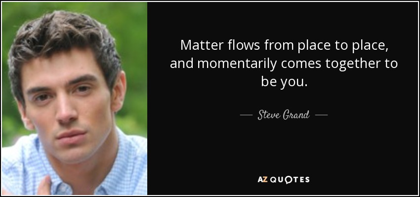 Matter flows from place to place, and momentarily comes together to be you. - Steve Grand