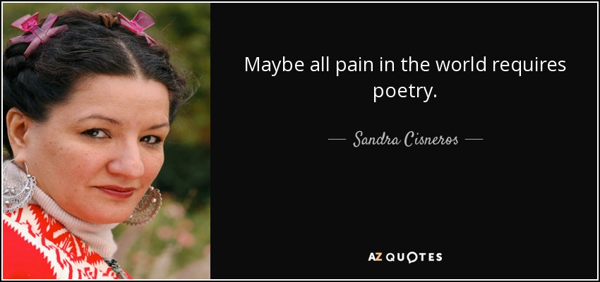 Maybe all pain in the world requires poetry. - Sandra Cisneros