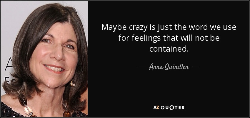 Maybe crazy is just the word we use for feelings that will not be contained. - Anna Quindlen