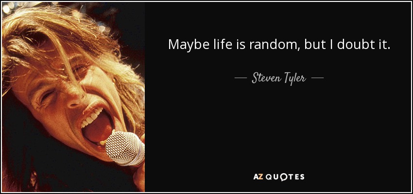 Maybe life is random, but I doubt it. - Steven Tyler