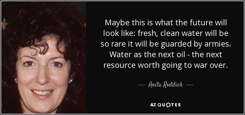 Maybe this is what the future will look like: fresh, clean water will be so rare it will be guarded by armies. Water as the next oil - the next resource worth going to war over. - Anita Roddick