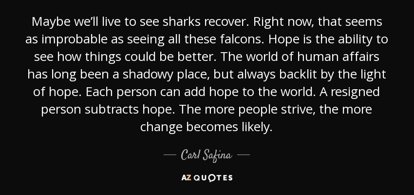 Maybe we’ll live to see sharks recover. Right now, that seems as improbable as seeing all these falcons. Hope is the ability to see how things could be better. The world of human affairs has long been a shadowy place, but always backlit by the light of hope. Each person can add hope to the world. A resigned person subtracts hope. The more people strive, the more change becomes likely. - Carl Safina