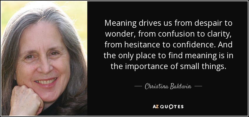 Meaning drives us from despair to wonder, from confusion to clarity, from hesitance to confidence. And the only place to find meaning is in the importance of small things. - Christina Baldwin