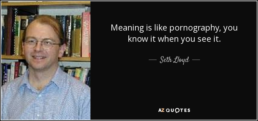 Meaning is like pornography, you know it when you see it. - Seth Lloyd