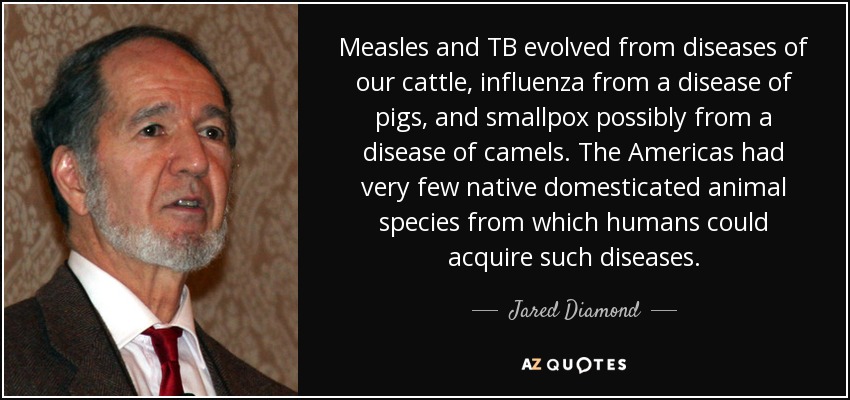 Measles and TB evolved from diseases of our cattle, influenza from a disease of pigs, and smallpox possibly from a disease of camels. The Americas had very few native domesticated animal species from which humans could acquire such diseases. - Jared Diamond