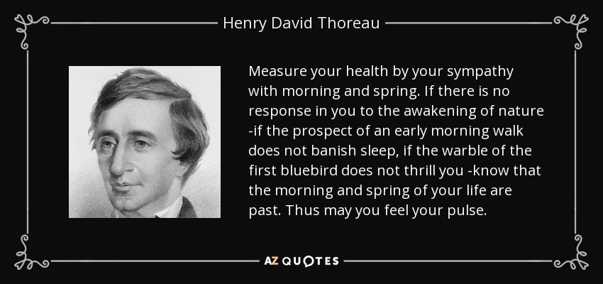 Measure your health by your sympathy with morning and spring. If there is no response in you to the awakening of nature -if the prospect of an early morning walk does not banish sleep, if the warble of the first bluebird does not thrill you -know that the morning and spring of your life are past. Thus may you feel your pulse. - Henry David Thoreau