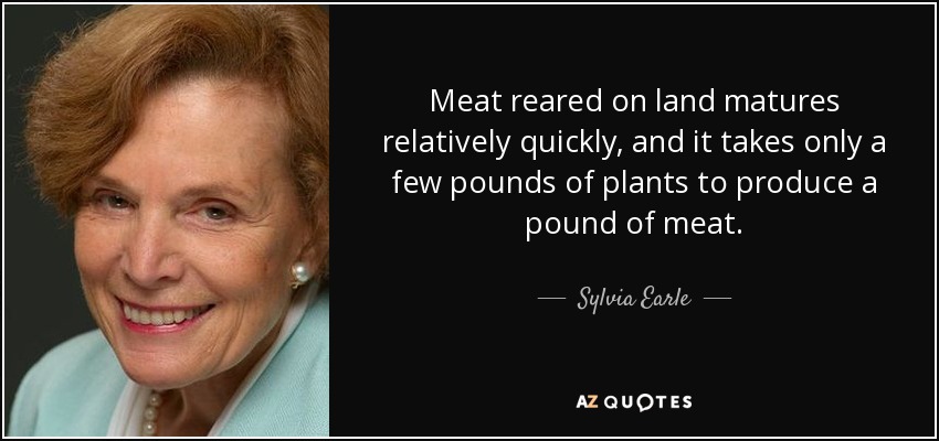 Meat reared on land matures relatively quickly, and it takes only a few pounds of plants to produce a pound of meat. - Sylvia Earle
